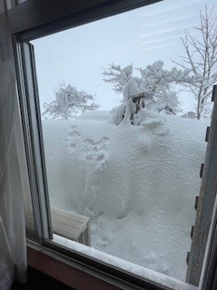 １月の大寒波の時
